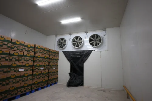 Best-in-Class Cold Storage