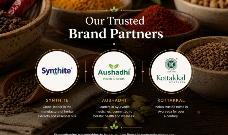 file_000000001d6471fa8f5f03e2148f3110