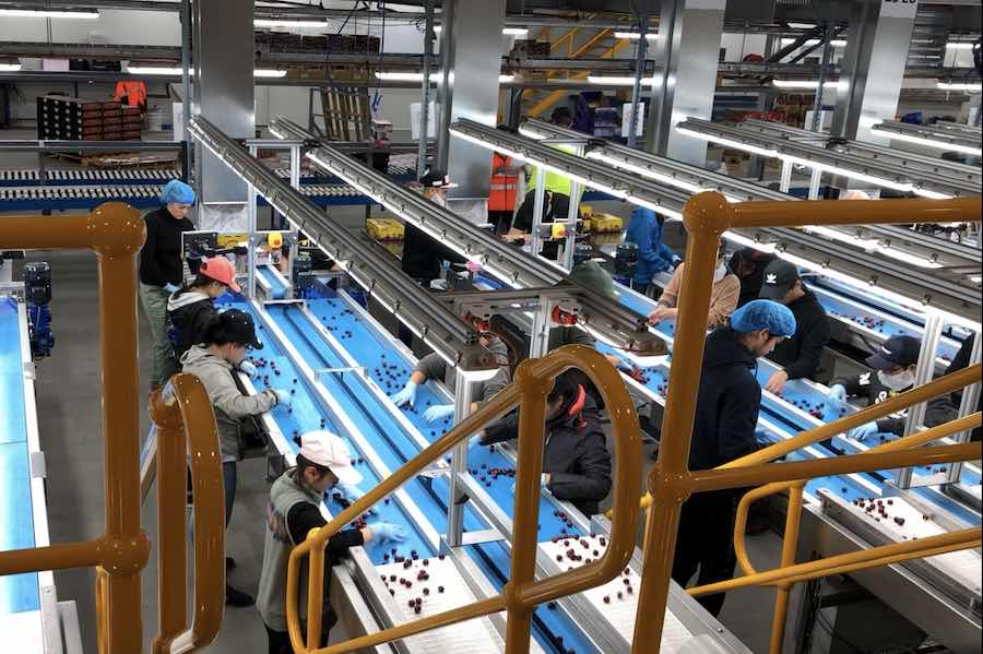 High-Efficiency Packing Facility